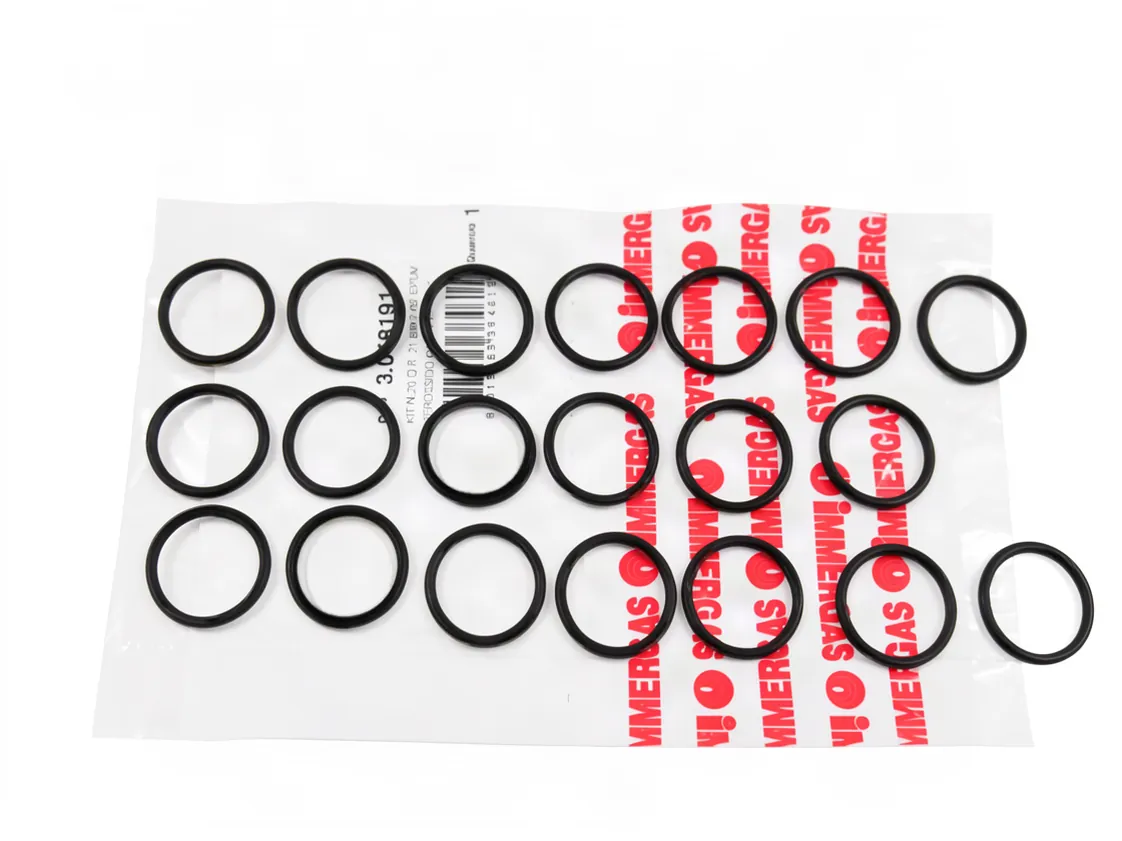 O-Ring 21.89x2.62mm Immergas (Set 20 Stk.), Teilenummer 3.018191