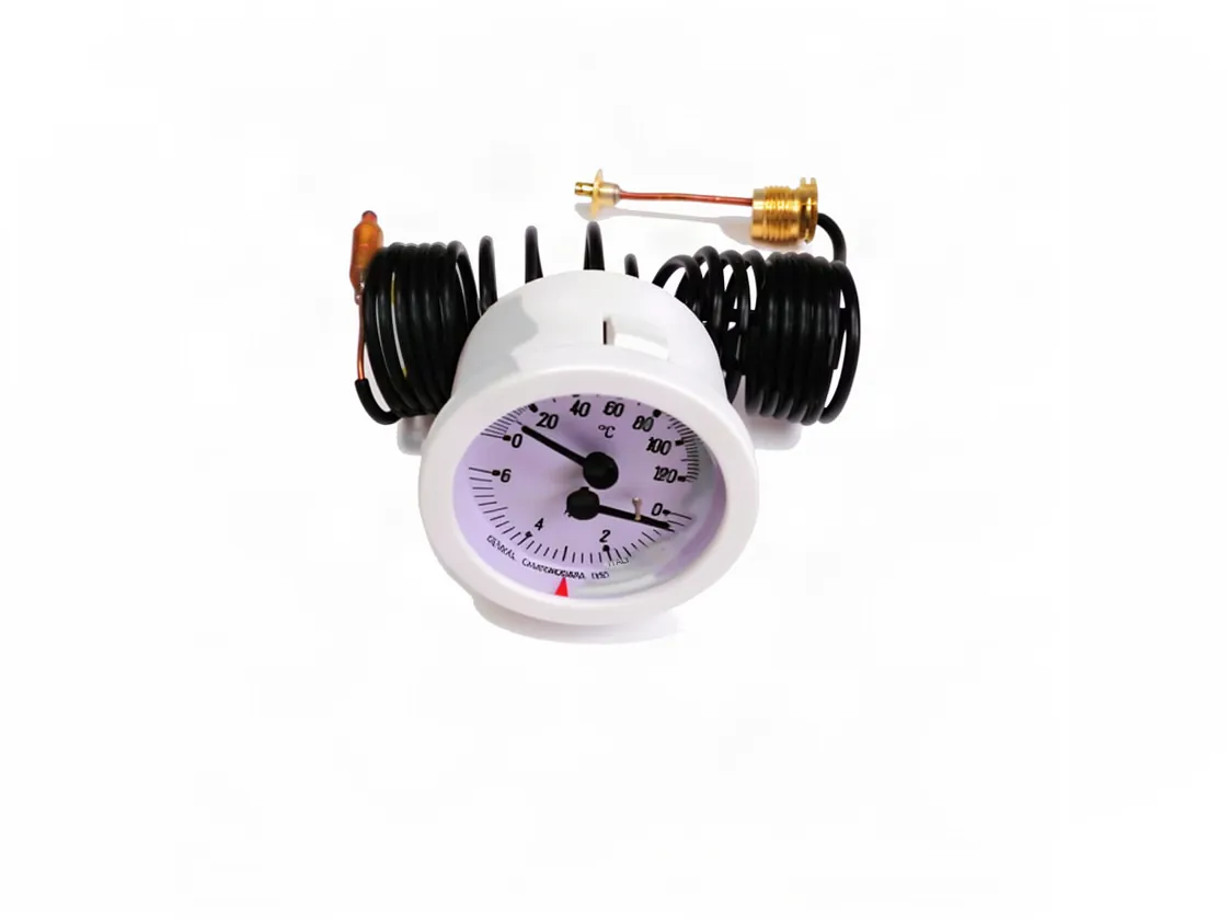 Thermomanomètre Manaut GMA (KI1006530) (Ø52-0/6b-0/120º-1000mm-1/4"), référence BI1105500-C