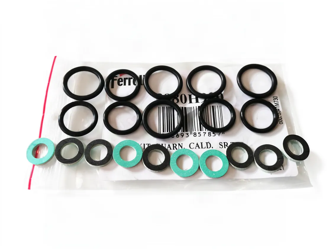 Kit joint Ferroli Bluehelix Pro, référence I3980H920