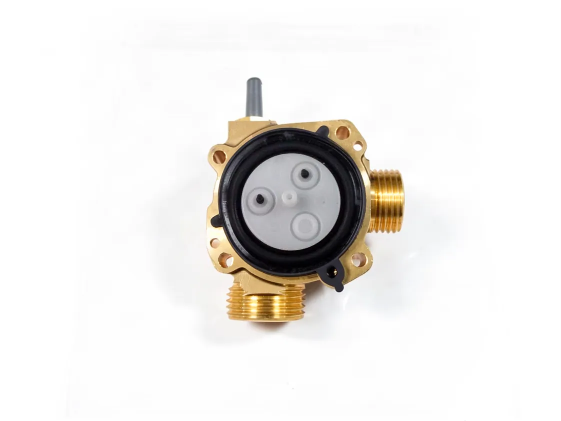 Cuerpo agua Immergas Julius 14L (sustituido por 3.026989), referencia 1.018524