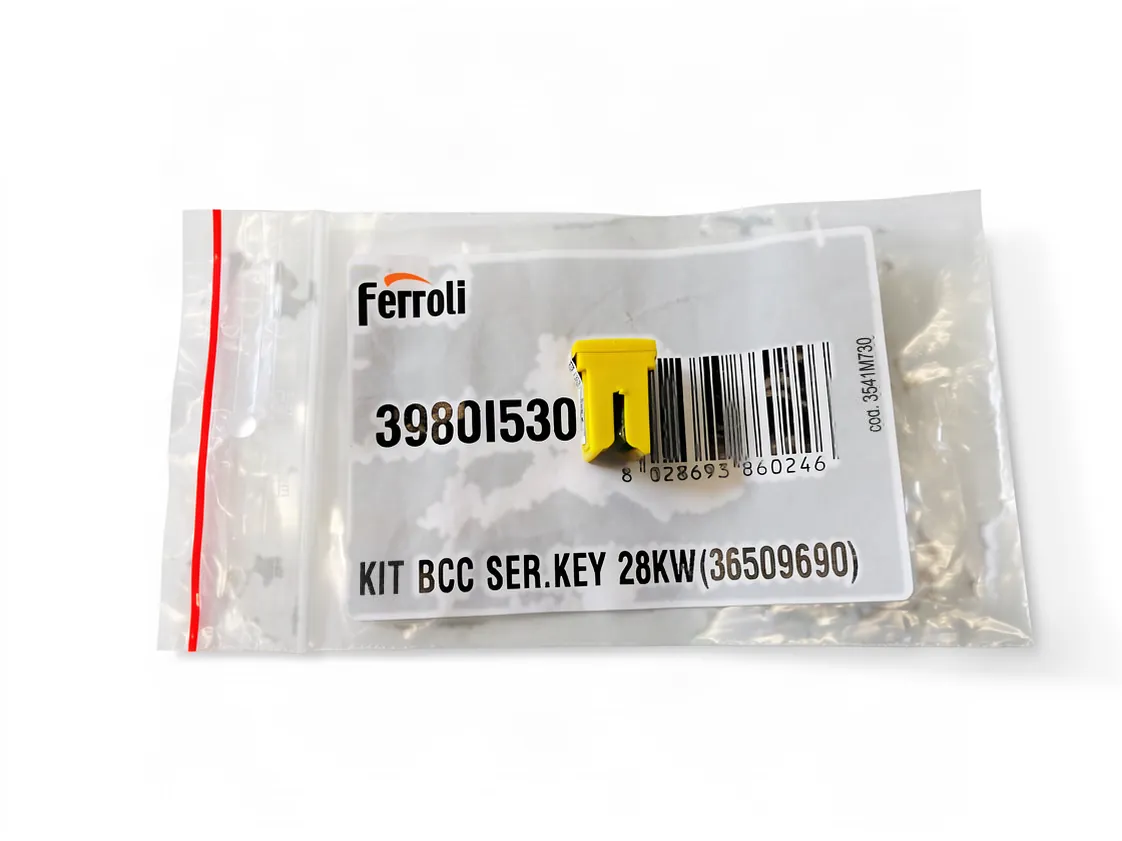 Speichermodul Ferroli Bluehelix Tech RRT 28C, Teilenummer I3980I530