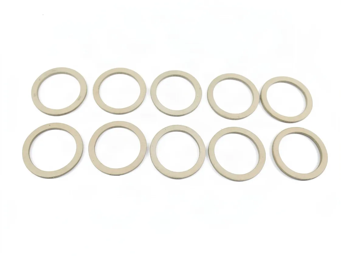 Junta Saunier Duval 3/4 fina (Kit 10 uds), referencia S5485100-1