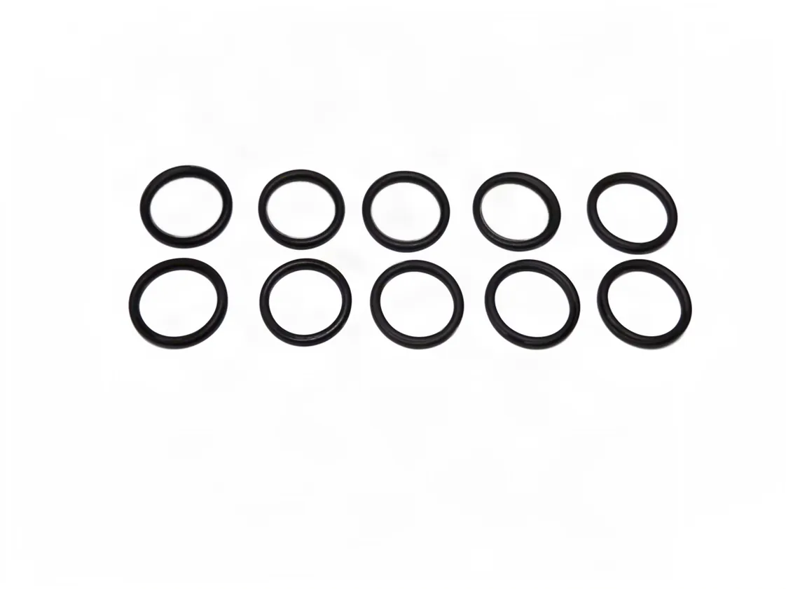 O-ring 18.72x2.62mm Immergas (kit 10 pz), codice ricambio 3.016156