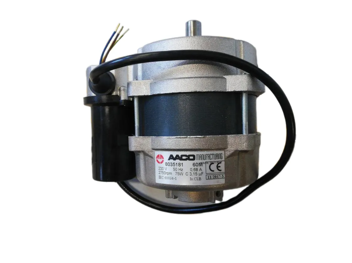 Motore bruciatore Ecoflam Minor 01 75W (M110), codice ricambio 441123