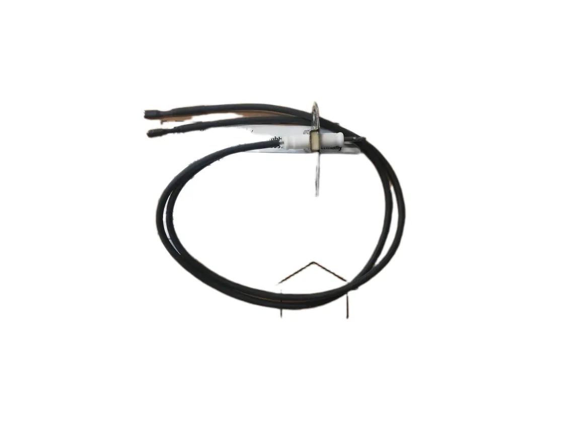 Electrodo Junkers WTD15-3 ionizacion, referencia 8738722271