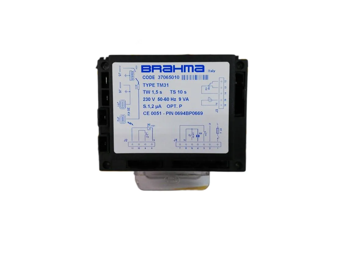 Brahma TM31 control board, part number IT-016696
