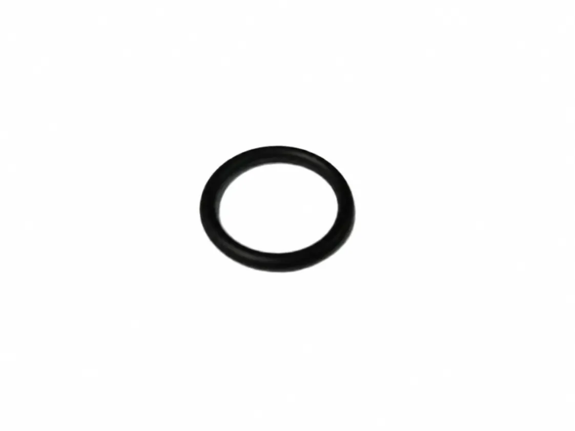 O-ring 15.00x2.00mm Intergas, codice ricambio 875737