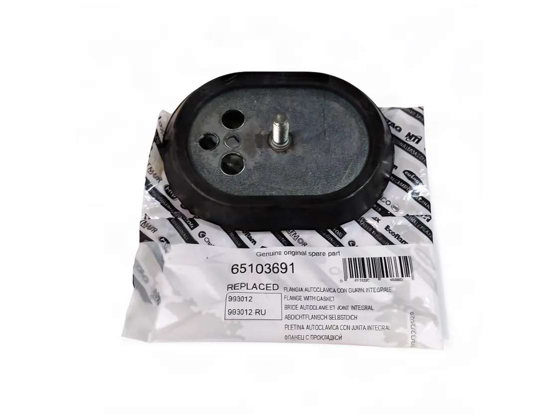 Pletina con junta termo Ariston Blu Eco - PRO Eco, referencia 65103691
