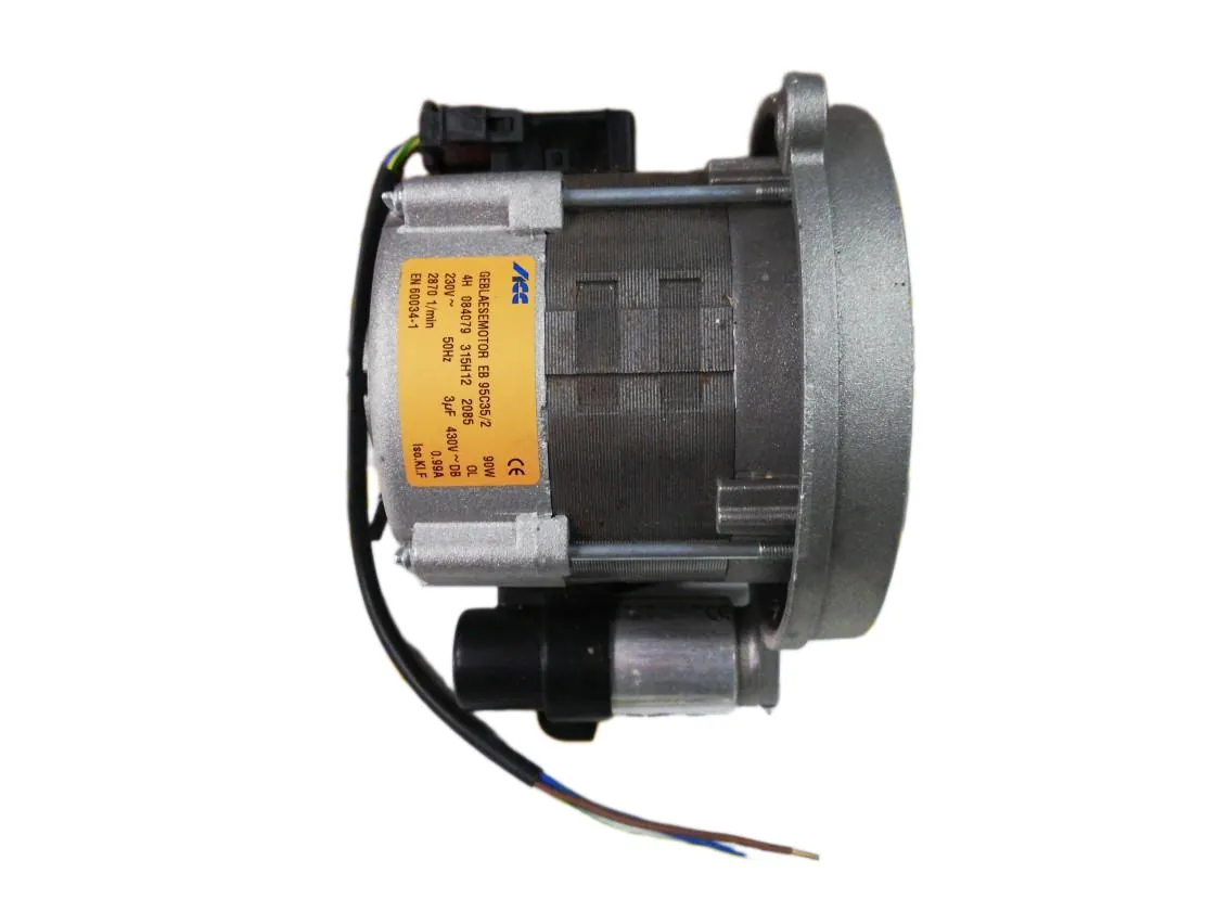 ACV BM1 LN1 burner motor, part number 786365