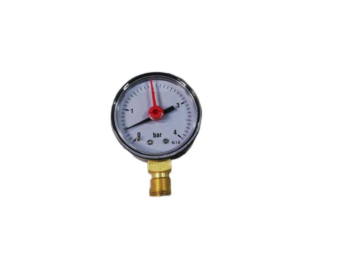 Manómetro Sime Aqua Inox BF (1/4 4bar), referencia 6043600