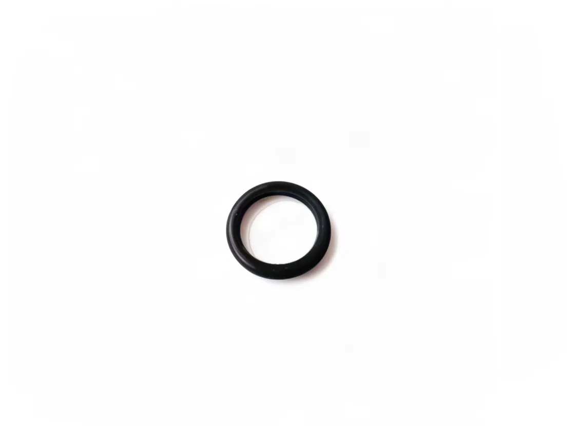 O-Ring Sime Format Zip 5-25 BF TS R12 Wärmetauscher, Teilenummer 6226421