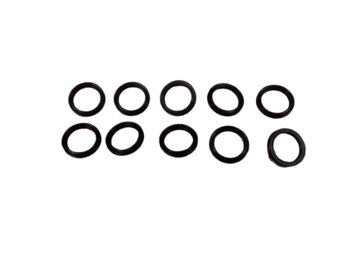 O-Ring 15.54x2.62mm Immergas (Set 10 Stk.), Teilenummer 3.016055
