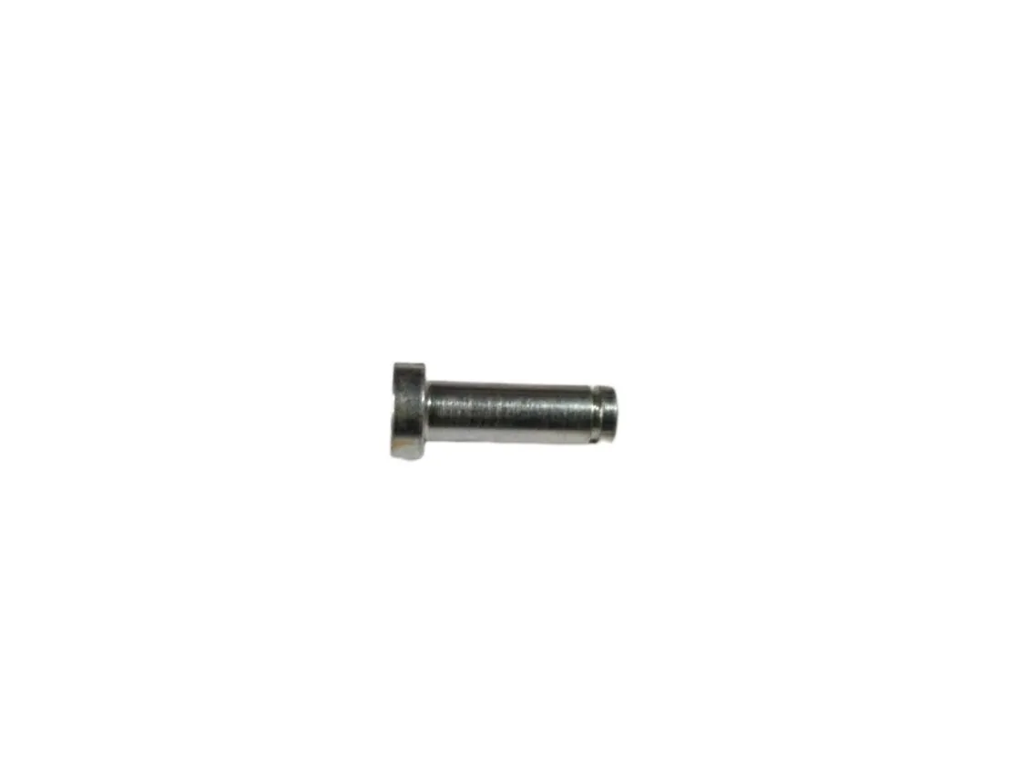Perno di porta Domusa Dualtherm 35 (con incavo e rondella di sicurezza), codice ricambio CFER000249