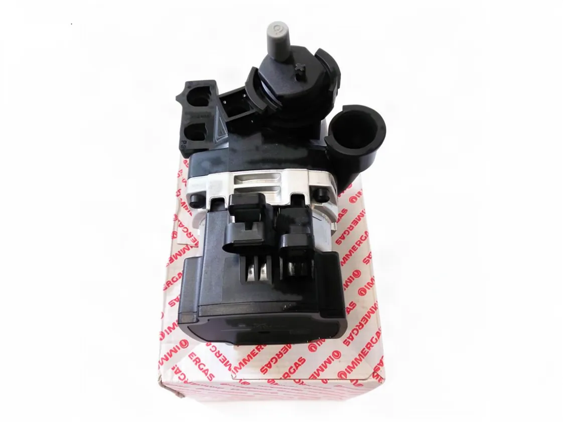 Wasserpumpe Immergas Victrix TT 24 Erp, Teilenummer 3.023221
