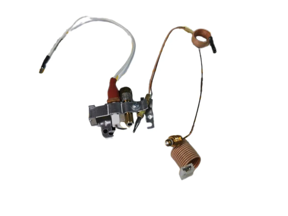 Zündbrenner Baugruppe Atermycal Igc 11-14 S-SE G20, Teilenummer 20/1002-N