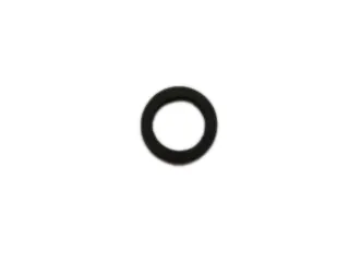 Viton black sealing ring Intergas, part number 875617