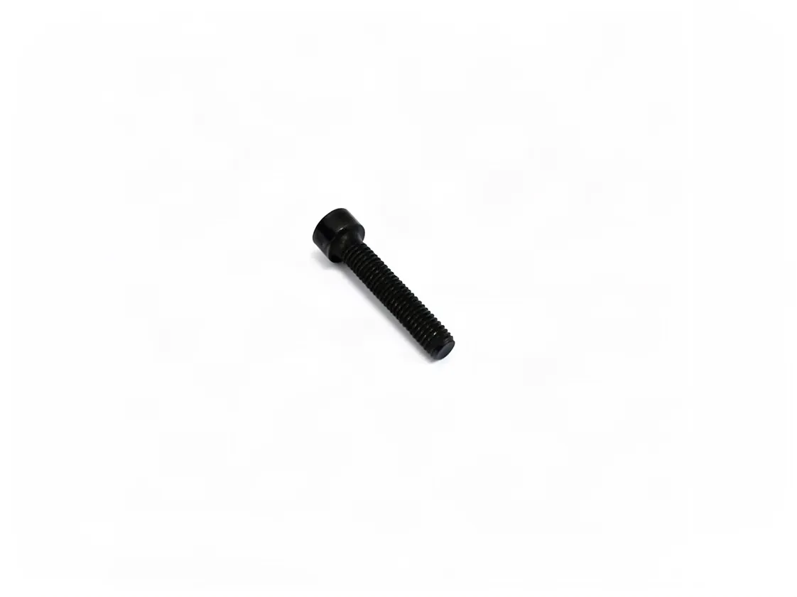 Vite Domusa M05x25mm, codice ricambio MVAR240158