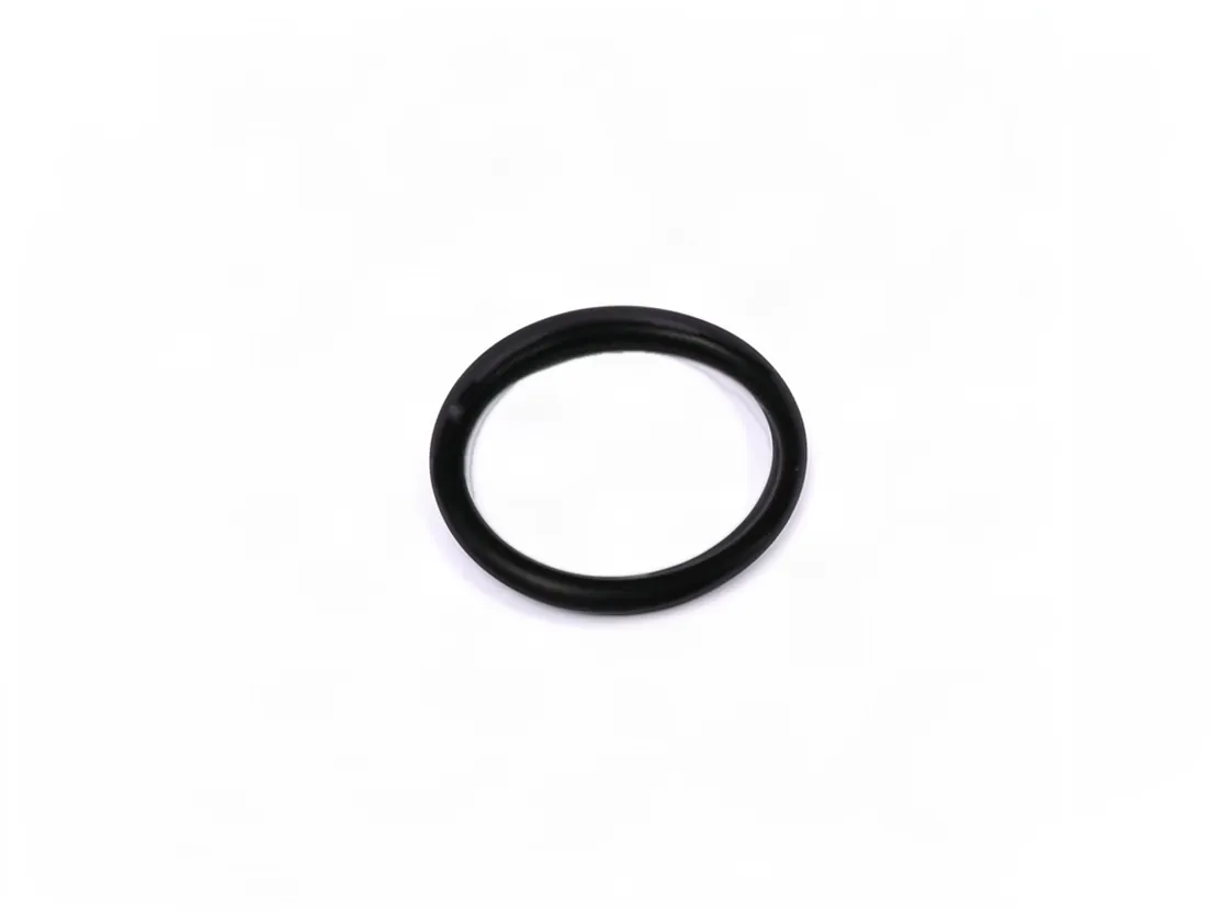 Gasket ACV Prestige Excellence 24 V 14 Dimensions 25.07x2.62mm, part number 786648