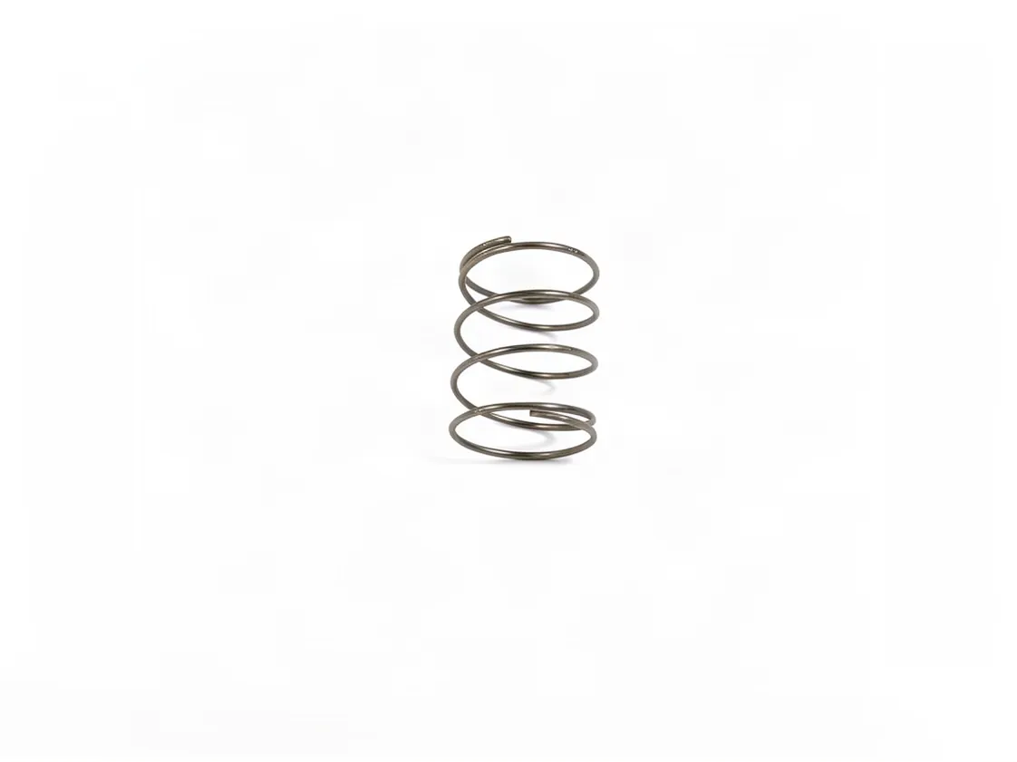 Spring washer Immergas, part number 1.2262