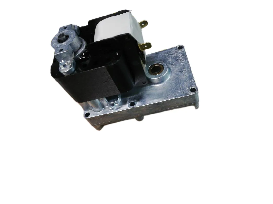 Motor Ferroli Naturfire 35 Motoreductor 5.3r.p.m. pellet, referencia P599001250