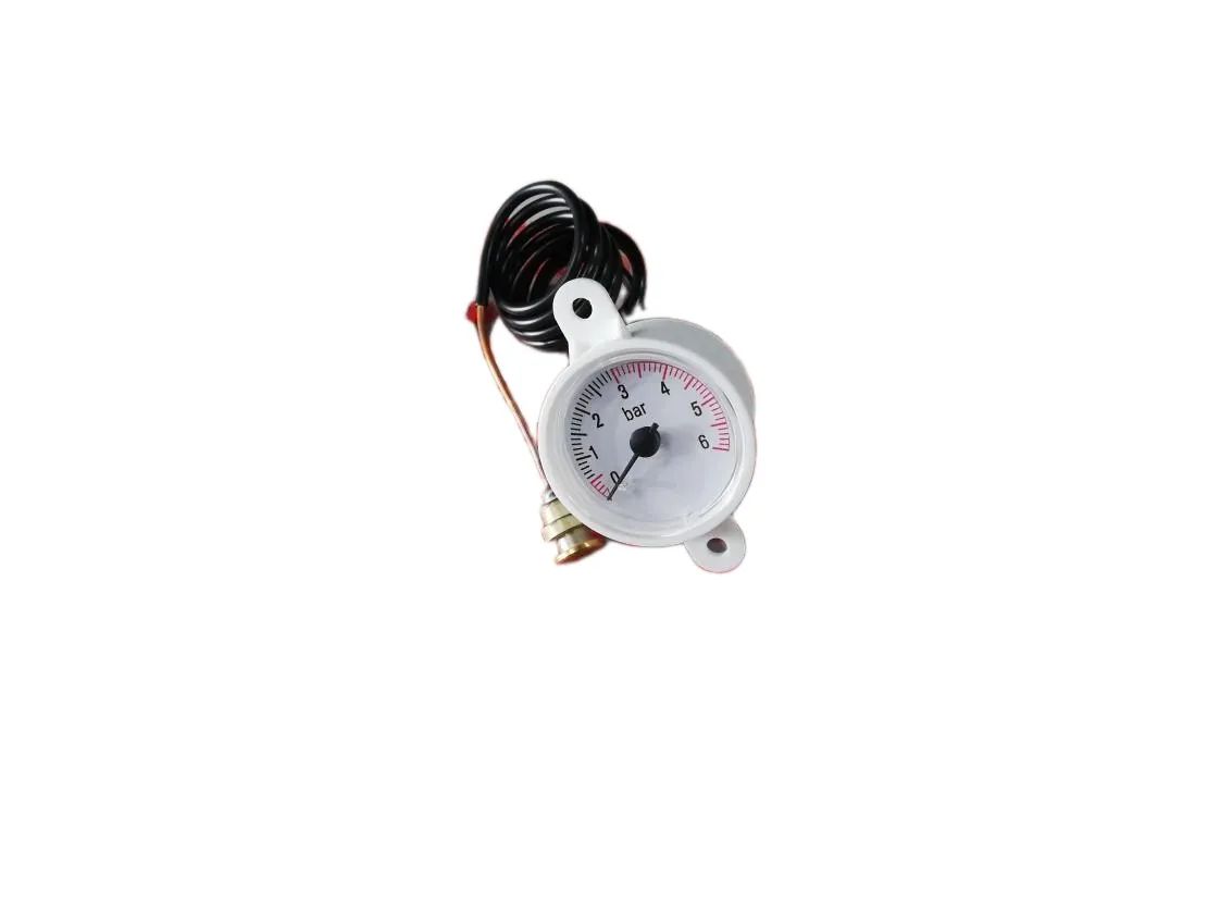 Pressure gauge Immergas Victrix Pro 55, part number 1.035335
