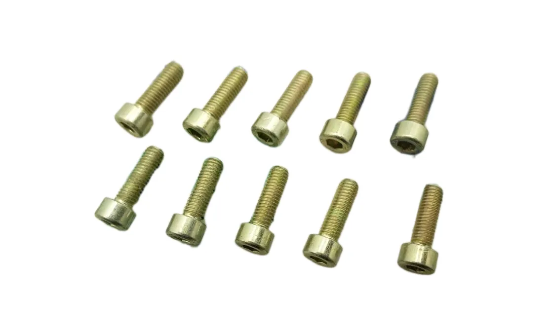 Screw Immergas M05x16mm. (kit 10 pcs), part number 3.016924