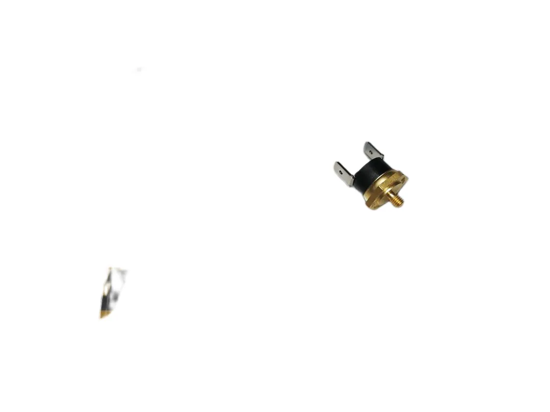 Klixon-Thermostat 055º NC Vertical mit Gewinde M04 Tifell, Teilenummer CCTETEC20-C
