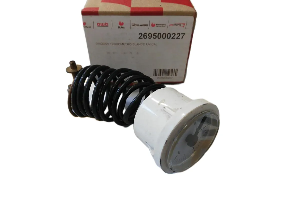 Manómetro Wiesberg RSSE, referencia 2695000227