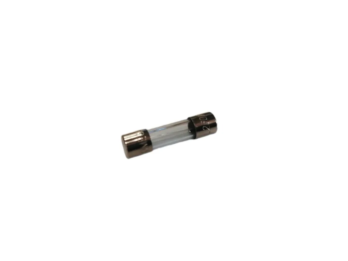 Fuse 2.0A 250V Med. 5x20mm Immergas, part number 1.6098