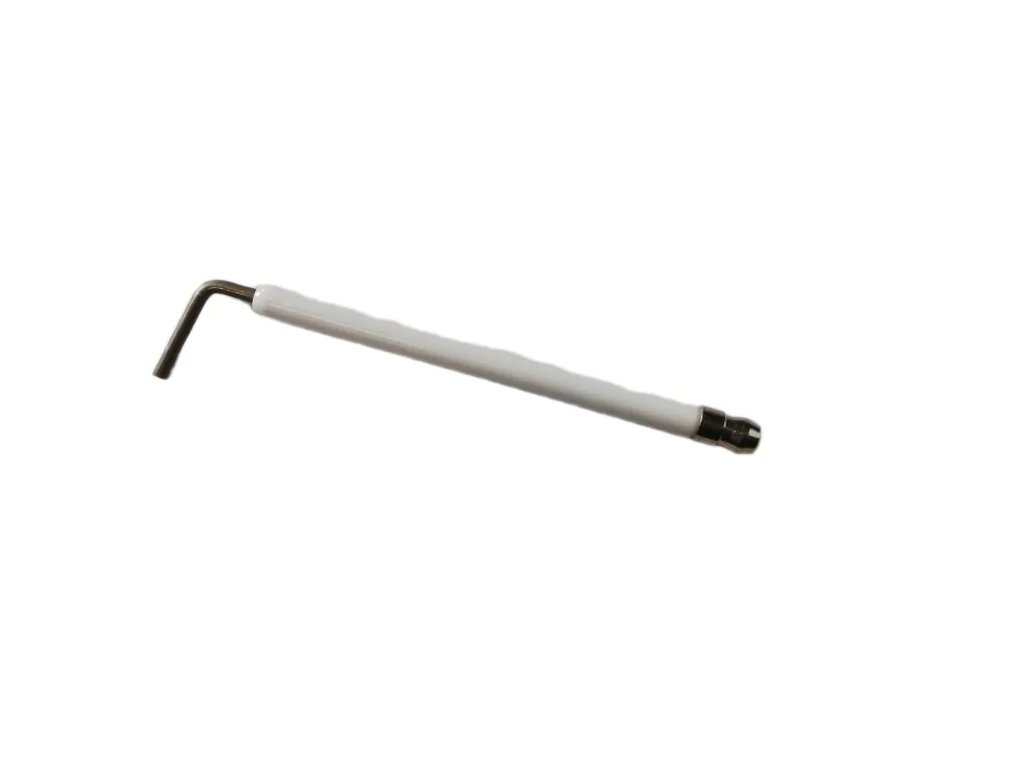 Electrodo ionización WG weishaupt, referencia LF-039817