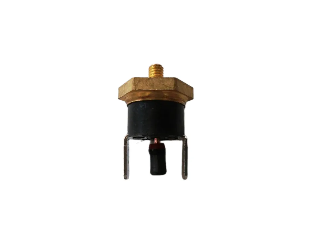 Clixon 080º vertical threaded Domusa Bioclass NG Manual reset, part number CELC000333-C