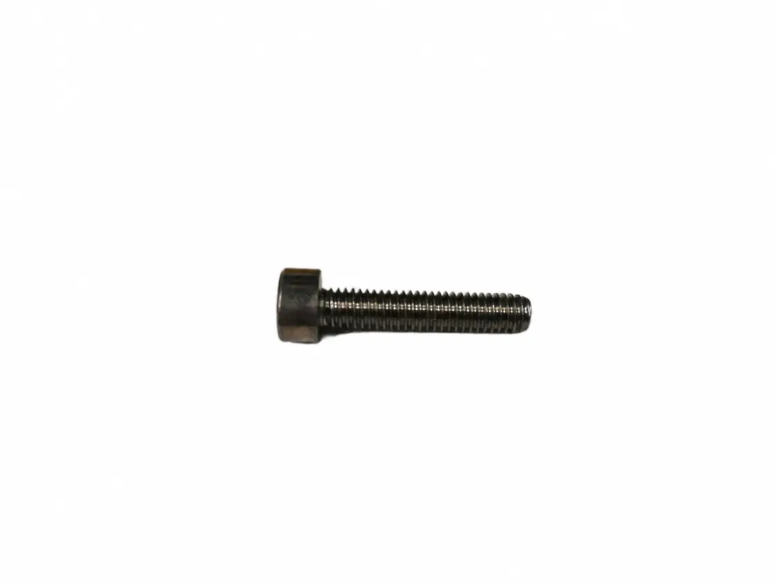 Screw Intergas M04x20mm, part number 305127