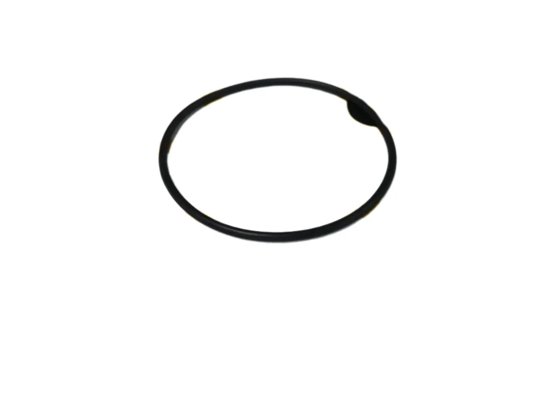 O-ring pompa gasolio Danfoss BFP, codice ricambio EP-027548