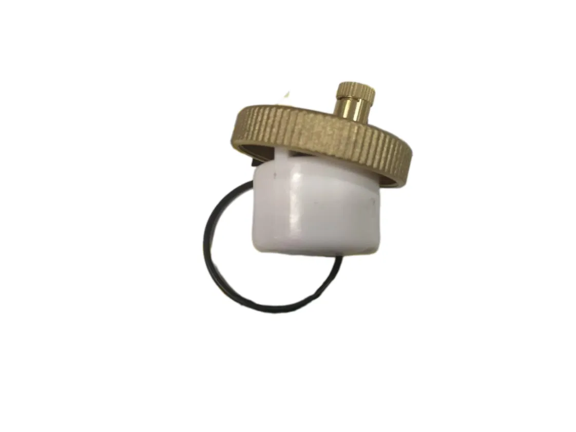 Tapa purgador automático Compatible con 05167500 - R0439 - N47G016M4 - BI1172111 - SD51675 - 10006 - P08903 - 60081842 - 061707 - 998643, referencia NO-016422