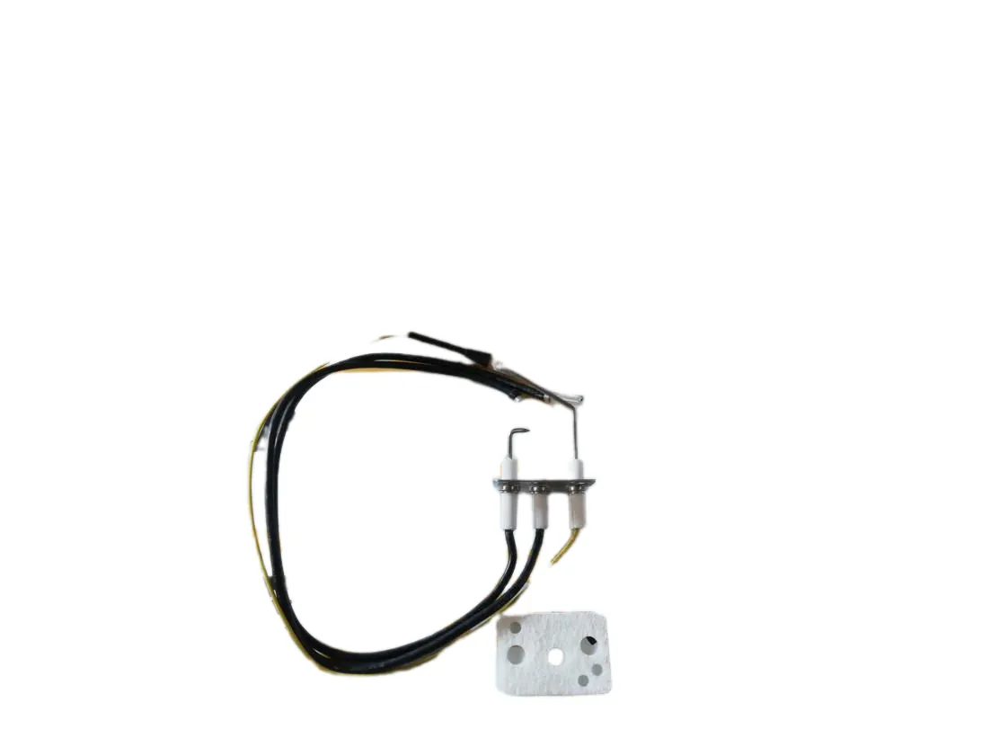 Electrodo Junkers WTD15-3 AME23 encendido/ionizacion, referencia 8738728744