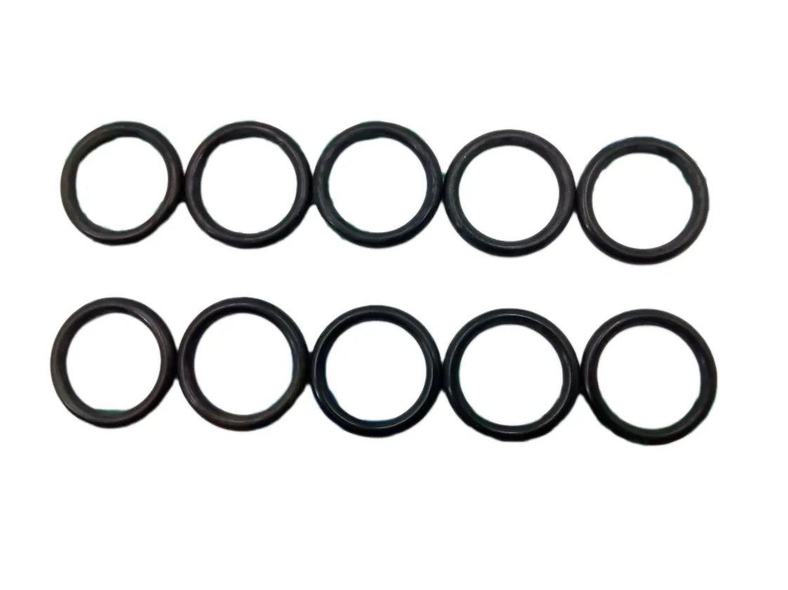 O-ring 15.88x2.62mm Immergas (set 10 st.), onderdeelnummer 3.016093
