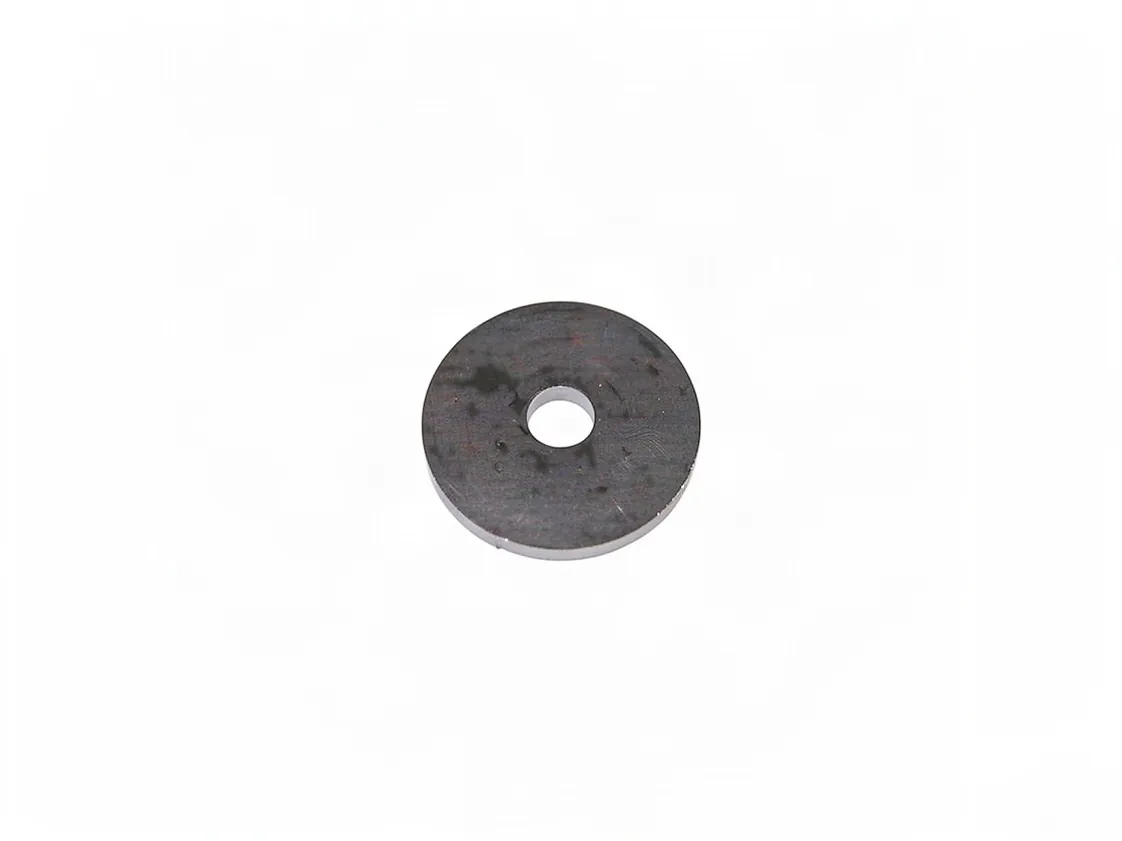 Sluitring Domusa Bioclass NG43 reiniging, onderdeelnummer SCHA009896