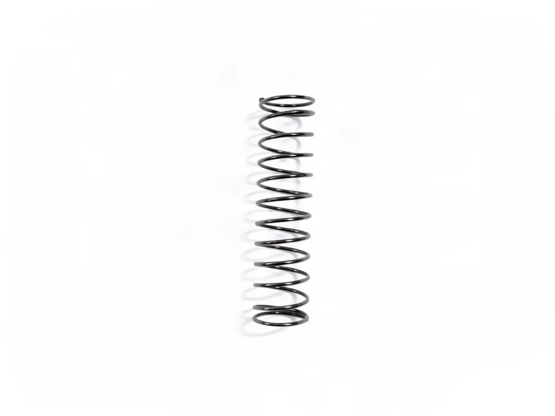 Spring washer Immergas, part number 1.010282