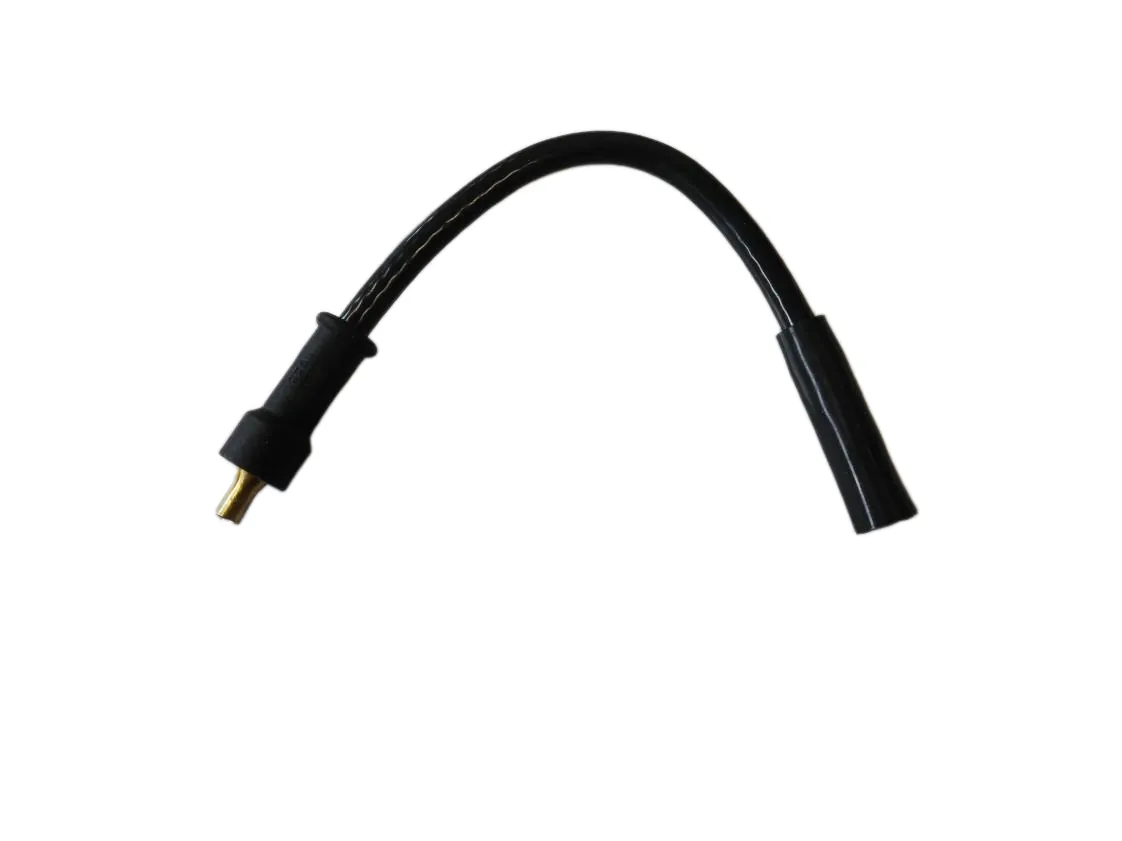 Cable Atlantic Thermor Logic Micro 24 Electrodo encendido, referencia 109128