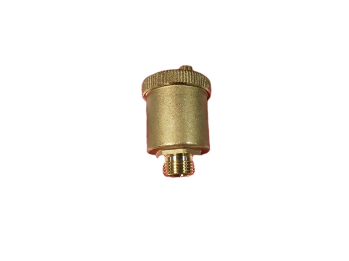 Purgeur automatique Immergas standard 1/2M (Rb), référence 1.2295