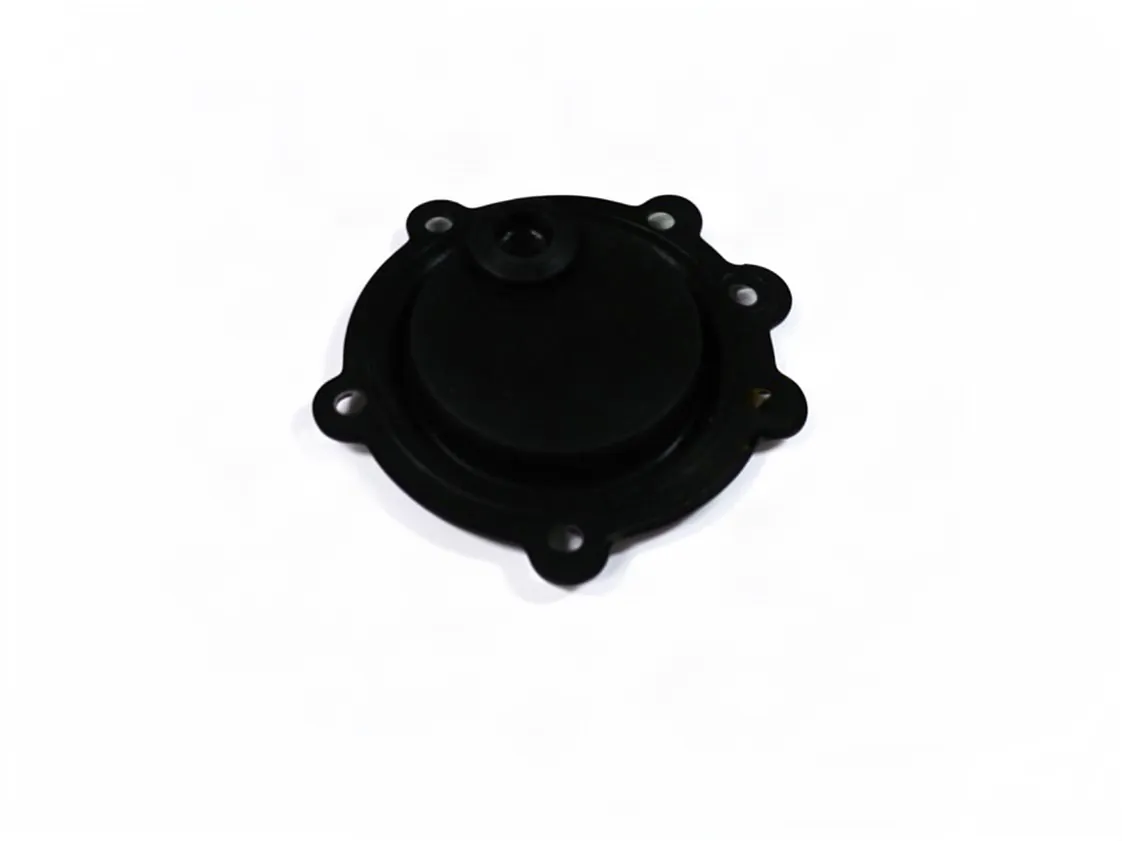 Membrane Beretta Fonte 11-14 Chauffe-bain, référence B81617-1