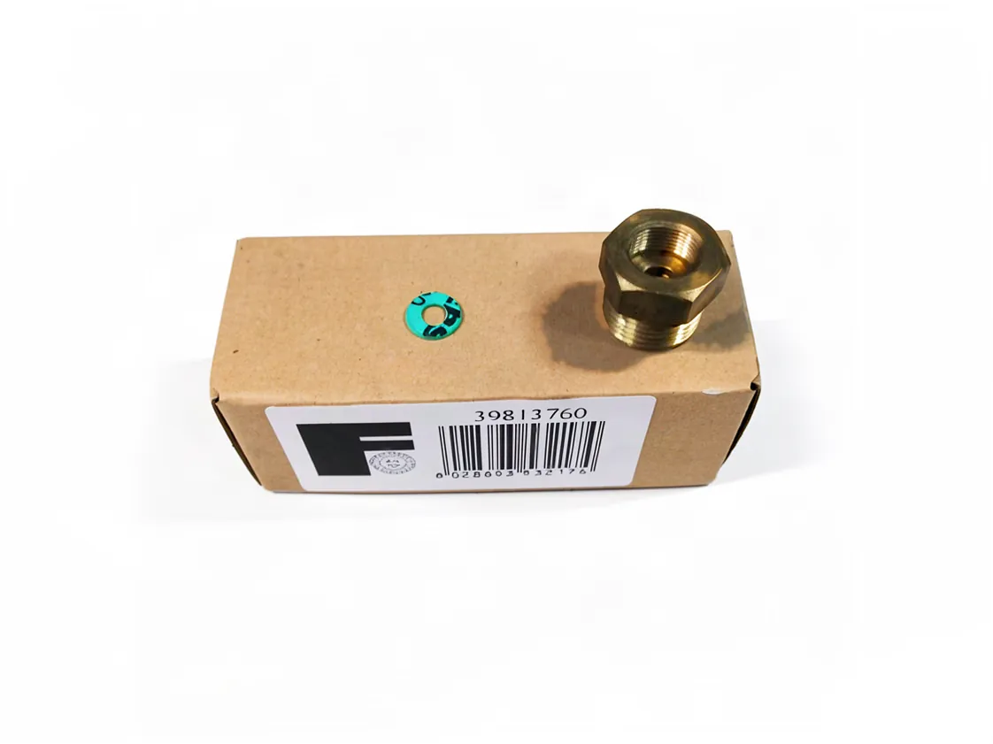 Non-return valve 1/2M Ferroli Temperature and pressure gauge Pressure gauge, part number 39813760