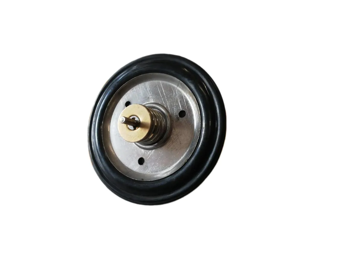 Membrana Immergas Mini - Extra, codice ricambio 3.013389-C