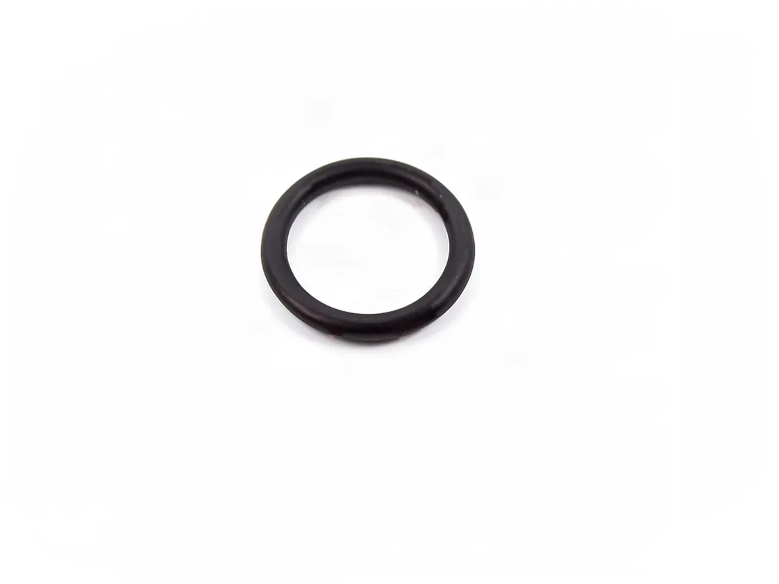 Gasket Sime Format Zip BF ES, part number 6226412