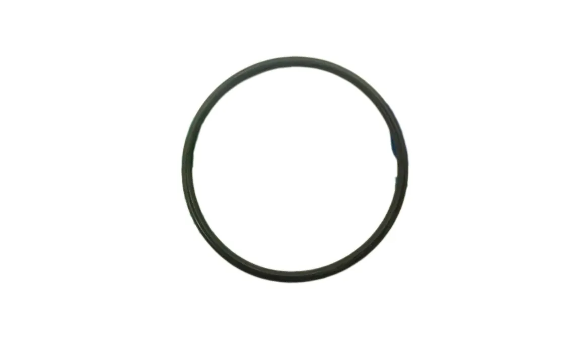 Junta tórica 48.89x2.62mm Immergas standar, referencia 3.016065-1