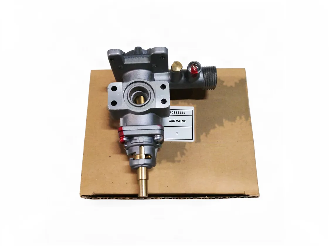 Cuerpo gas Immergas Julius Star Calentador, referencia 1.040418