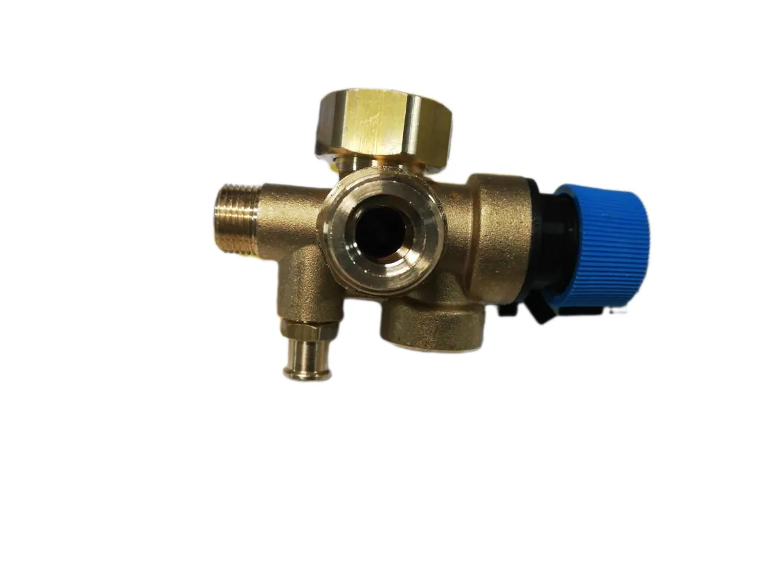 Immergas Victrix Zeus 25 manifold with DHW safety valve, part number 3.027666