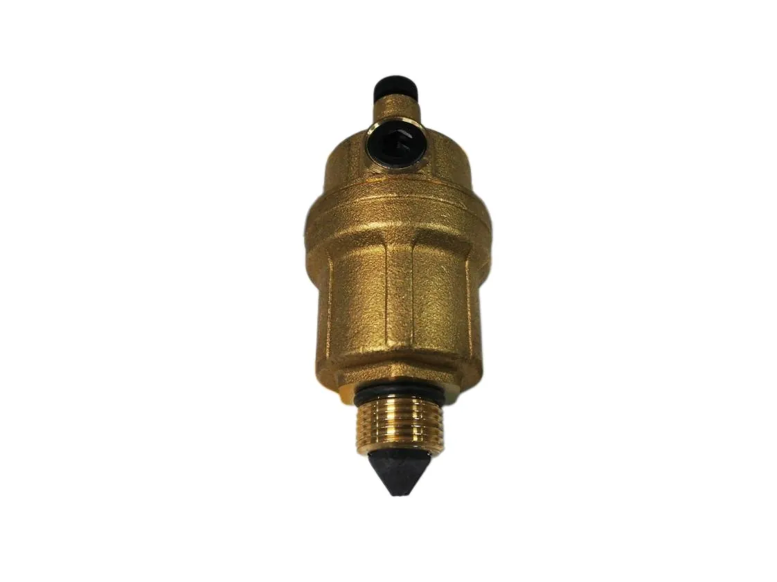 Purgador Baxi Roca Nuvola 24I, referencia JJ5625830