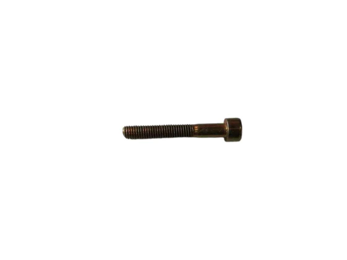 Screw Immergas M05x35mm, part number 1.010291