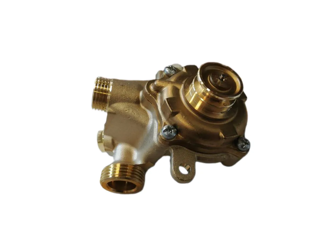 Cuerpo agua Saunier Duval Opalia C14 Calentador, referencia S1215900